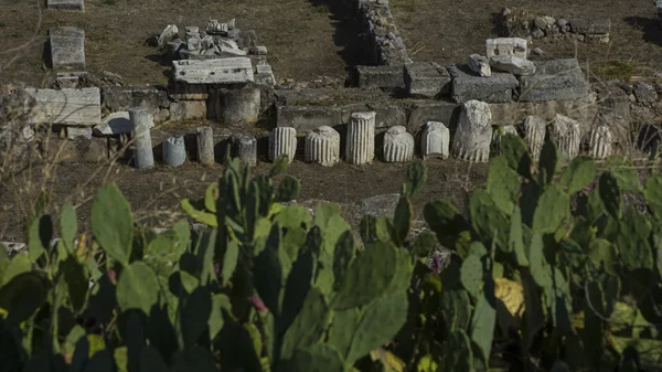 "Πως θα αλλάξουμε το μυαλό μας, για να αλλάξουμε τον κόσμο": Διεθνές Συμπόσιο στην Ελευσίνα