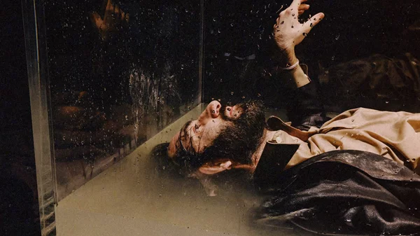 Πρεμιέρες: Οι νέες παραστάσεις της εβδομάδας