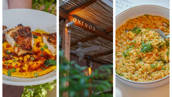 Για φαγητό στο Περιστέρι: Στη δροσερή αυλή του Σχίνου φάγαμε πεντανόστιμη δημιουργική κουζίνα & ήταν η απόλυτη έκπληξη