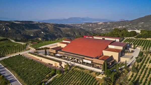 Το Κτήμα Σεμέλη "Οινοποιείο της Χρονιάς 2025" από τον CEUCO