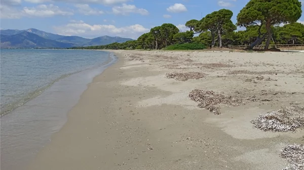 Φωτογραφικό ταξίδι στις προστατευόμενες περιοχές της Αττικής