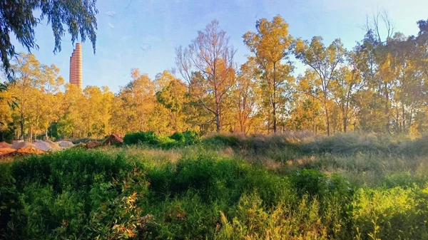 Μυστήριο 50 Ecoculture Festival: Μια γιορτή για το περιβάλλον ανοιχτή σε όλες τις ηλικίες