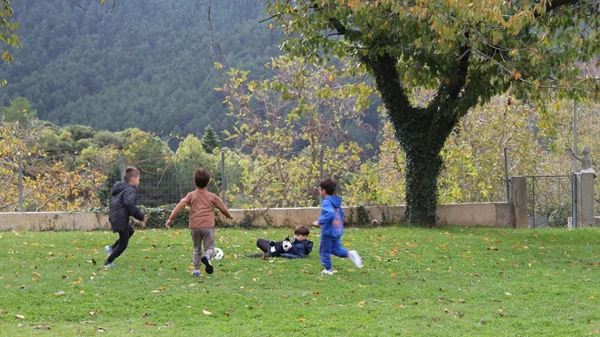 Νοέμβριος με βόλτες στη φύση και δημιουργικές ανακαλύψεις στη Βαμβακού Λακωνίας