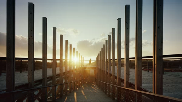 "Woodscapes": Η Erieta Attali απαθανατίζει τα ξύλινα αρχιτεκτονικά έργα του Kengo Kuma