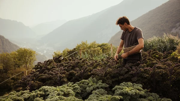 Οι σεφ που τολμούν να αποκωδικοποιήσουν τη μαγειρική γλώσσα του βουνού