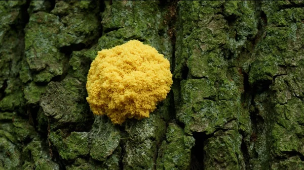 Το σίκουελ του Waste/d Pavilion ανοίγει μια συζήτηση τέχνης-πολιτικής