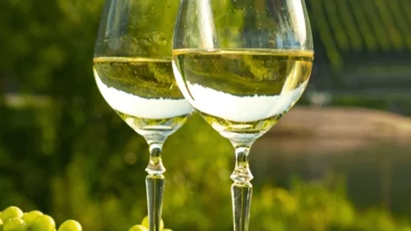 Όλα για το Riesling