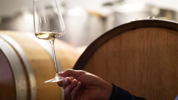 Athens Wine & Art Festival: Tο μεγαλύτερο φεστιβάλ κρασιού και τέχνης στην Ελλάδα επιστρέφει