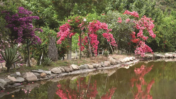 Βοτανικός Κήπος Κρήτης: Μια κιβωτός μνήμης, γνώσης και γεύσης