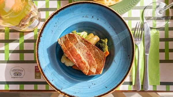 "Vai Palm Beach", Βάι