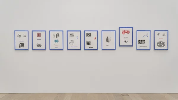 To Αμερικανικό Κολλέγιο Ελλάδος υποδέχεται την έκθεση "And all our world is dew" στo πλαίσιo του Annual Arts Festival 2024