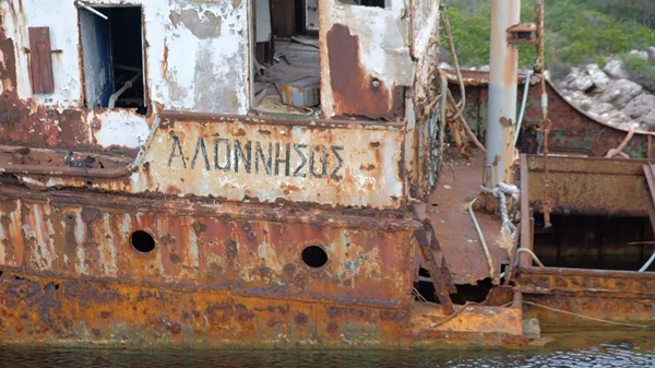 "Η ιστορία της φώκιας ΚΩΣΤΗΣ - Έγκλημα στην Αλόννησο"