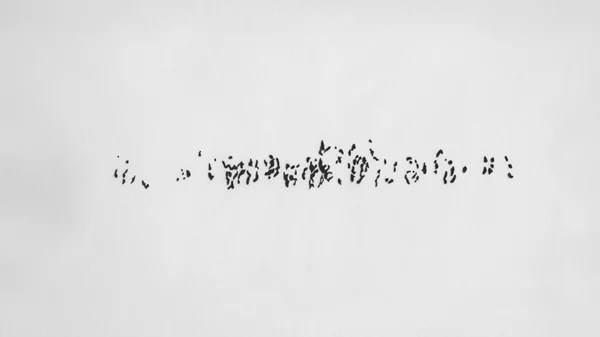 Έργα των Ρένα Παπασπύρου και Νίνα Παπακωνσταντίνου στη Δημοτική Πινακοθήκη Αθηναίων