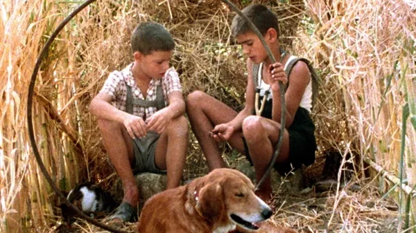 Οι καλύτερες ταινίες που παίζουν τώρα στα σινεμά (01-07/01)