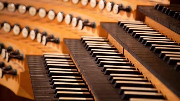 Εκπαιδευτικά προγράμματα για μικρούς και μεγάλους στο Μέγαρο Μουσικής