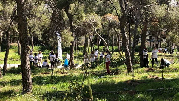 Ανάσα πρασίνου στην πόλη: Συνεχείς δενδροφυτεύσεις σε Λυκαβηττό και Στρέφη από τον Δήμο Αθηναίων