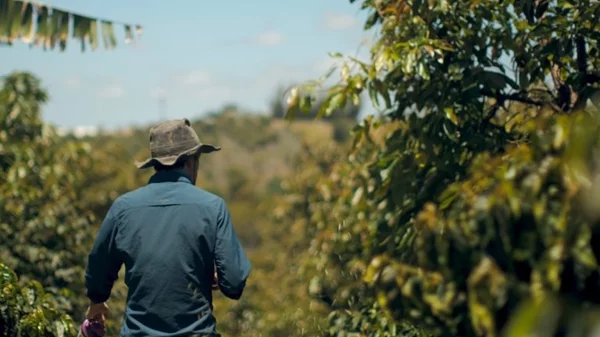 5 ντοκιμαντέρ για την κλιματική αλλαγή που αξίζουν την προσοχή μας