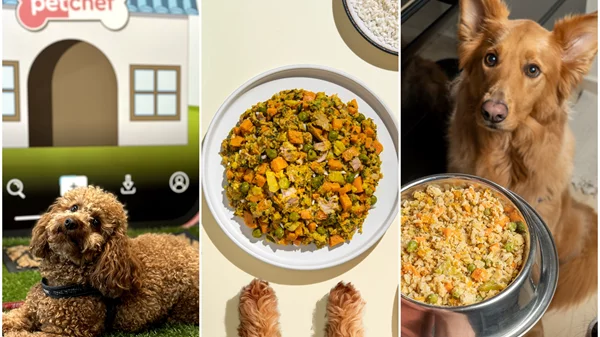 Το Νο.1 μαγειρευτό για σκύλους έρχεται στη Θεσσαλονίκη, σε συνεργασία με την AlmaPet