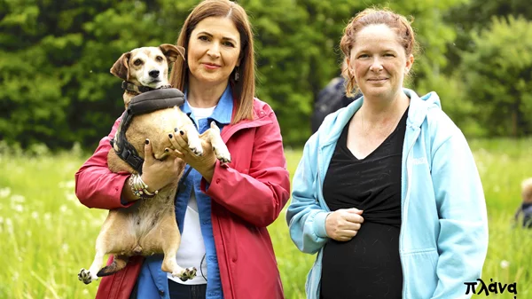 TV pick: Τα πιο όμορφα "Πλάνα" έχουν …ουρά και απέραντη, ανιδιοτελή αγάπη