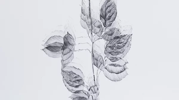 "Πνοές": Οι κρυφές λειτουργίες της ζωής και της φύσης