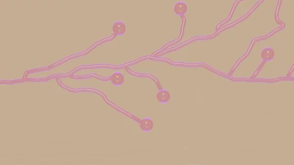 "Desire Lines": Τρεις καλλιτέχνιδες επηρεάζουν η μια την κατεύθυνση της άλλης