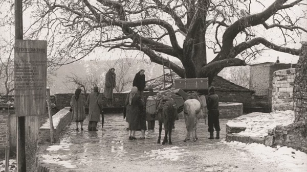 Οι ελληνικές ταινίες που πρέπει να δεις στο αφιέρωμα της Ταινιοθήκης