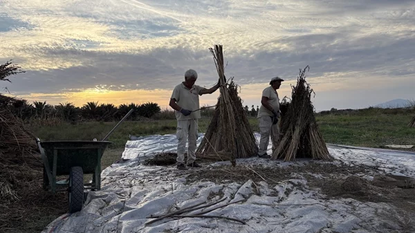 Το Grecotel LUXME Kos φιλοξένησε το 4ο Διεθνές Επιστημονικό Συνέδριο "Ιπποκρατική Παράδοση & Σύγχρονες Εφαρμογές"