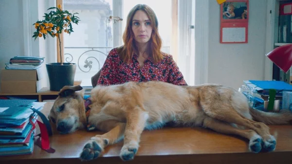 Η Δίκη Ενός Σκύλου