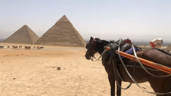 COSMOTE HISTORY HD: Νέα σεζόν με 11 καινούριες παραγωγές και συμπαραγωγές ντοκιμαντέρ