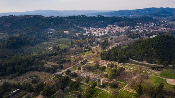 Η Αρχαία Ολυμπία ξαναζωντανεύει με τη δεντροφύτευση 80.000 ελαιόδεντρων