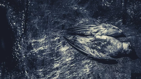 Όλα όσα θα δούμε στο 1927 art space