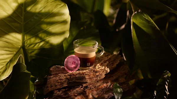 Ο Nespresso Colombia Organic συνεχίζει το γευστικό μας ταξίδι στη βιωσιμότητα