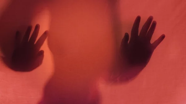 "Entopic Diaries": Η ευθραυστότητα ανάμεσα στην προσωπική και τη συλλογική μνήμη