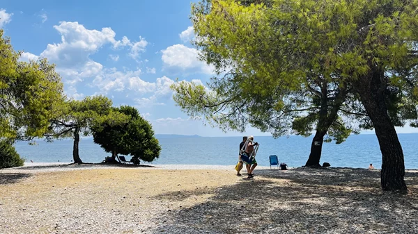 Ecoculture Festival: Η Ελευσίνα σε προσκαλεί σε ένα βιωματικό τετραήμερο αφιερωμένο στο περιβάλλον και τη βιωσιμότητα