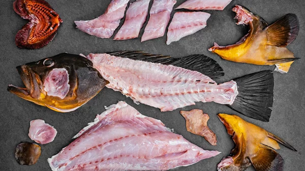 Ψάρι head to tail στον "Βασίλαινα"