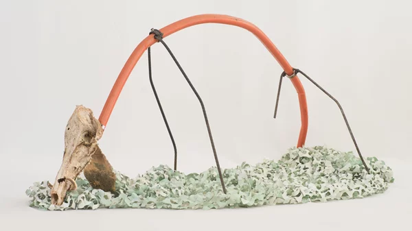 "Forage": Ο εικαστικός Οδυσσέας Γλύκας γίνεται ένας σύγχρονος "τροφοσυλλέκτης"