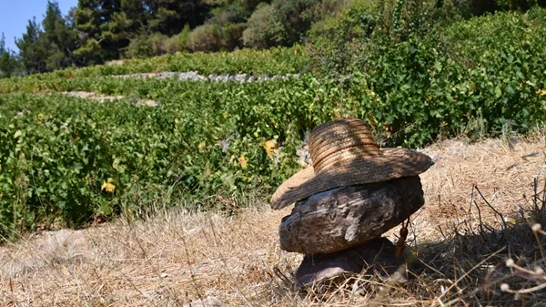 Συλλεκτικά και μοναδικά, από πατρογονικούς αμπελώνες των παραγωγών της Σάμου, τα "Αρχέγονα Εδάφη" αποτελούν μια μοναδική οινογευστική εμπειρία!