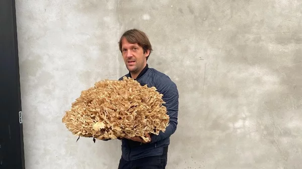 Το "Noma" ετοιμάζει pop up στο Κιότο