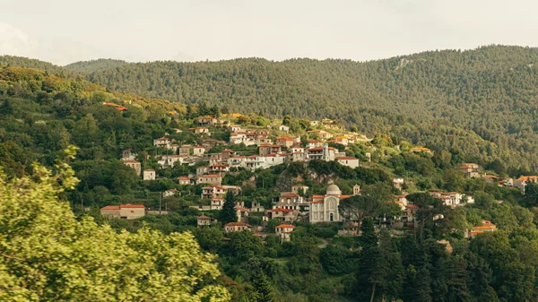 Όλα όσα θα δούμε στο Vamvakou Experience Festival 2023