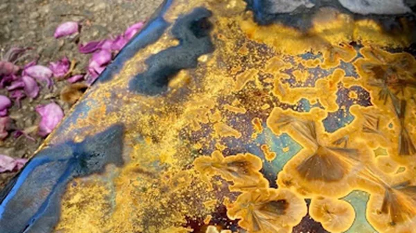 20 εκθέσεις σε νησιά που μπορείτε να επισκεφθείτε φέτος το καλοκαίρι