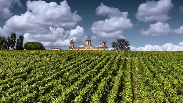 Τι γυρεύουν οι παγόδες ανάμεσα στους γαλλικούς αμπελώνες;
