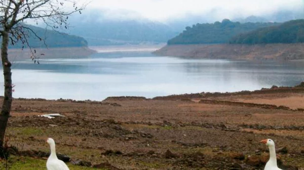 Λάδωνας: low budget ανακάλυψη 