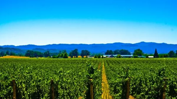 "Ανοιχτές Πόρτες" στα οινοποιεία της Ελλάδας