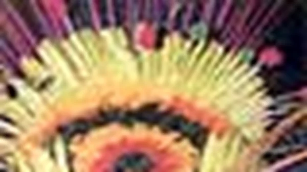 ΚΑΡΝΑΒΑΛΙ ΣΤΟΝ ΚΟΣΜΟ