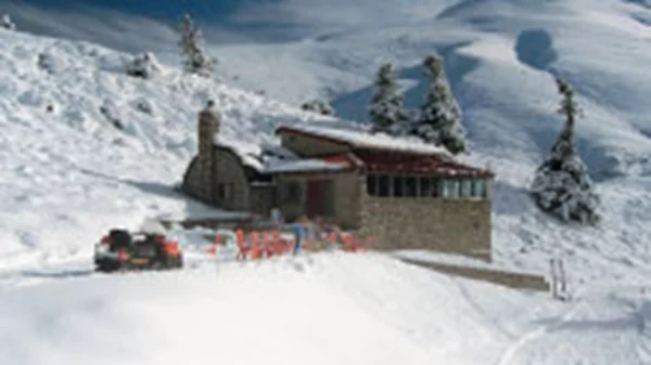 No budget Christmas!