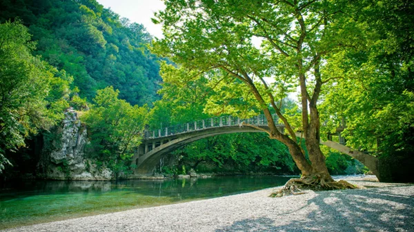 Φέτος έχουμε έναν ακόμη λόγο να κάνουμε διακοπές στο βουνό