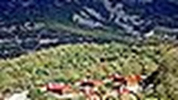 ΔΑΣΙΚΟ ΧΩΡΙΟ ΚΕΔΡΟΣ