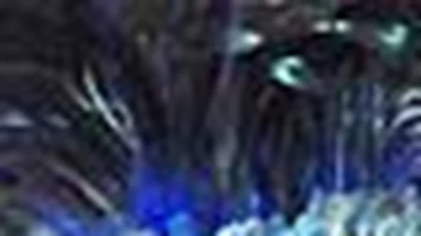 ΚΑΡΝΑΒΑΛΙ ΣΤΟΝ ΚΟΣΜΟ