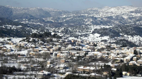 Οργανωμένες μονοήμερες και κοντινές εκδρομές 