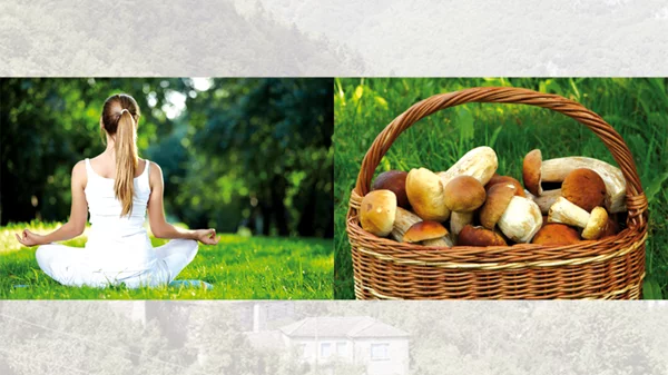 2 θεματικά πακέτα για εκδρομή στο Ζαγόρι 